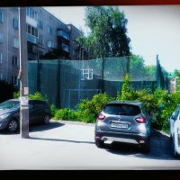 Противонасекомая сетка. :: Игорь Солдаткин