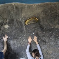 Бкувально по следам :: liudmila drake