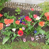 Весна :: Сапсан 