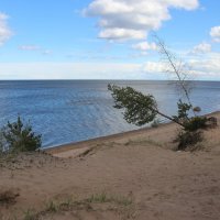 Ладожское Озеро :: Наталья Герасимова