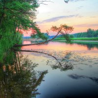 Река :: Cергей Кочнев