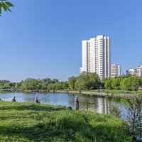 На берегу городского пруда :: Валерий Иванович