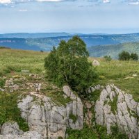 Июль Лаго-Наки :: Игорь Сикорский