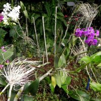 Парк «Утопия» в Израиле. :: Светлана Хращевская Парк «Утопия» в Израиле. :: Светлана Хращевская