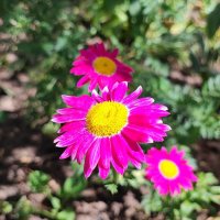 ,,, :: Сергей Тимоновский