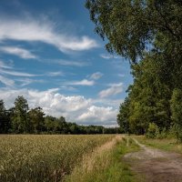 В середине лета... :: Николай Гирш В середине лета... :: Николай Гирш