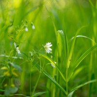 ___ :: Yuriy V ___ :: Yuriy V