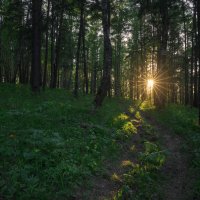 * :: Александр Иванов