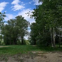 *** :: Владимир 