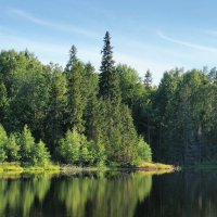 Тишина... :: Ольга Чистякова