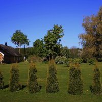 Деревенские фотозарисовки .. :: Татьян@ Ивановна