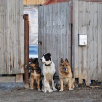 ...Заходите гости дорогие!:))) :: Рудаков Сергей 