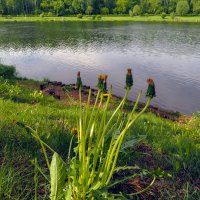 ***** :: юрий поляков