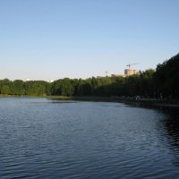 Пруд Головинский в мае :: Дмитрий Никитин