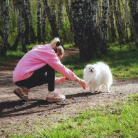 Собачья фотосессия :: Сергей Царёв