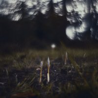 Явление таинств осенних. :: Анатолий Щербак Явление таинств осенних. :: Анатолий Щербак