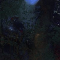 "Вороны". :: Журавлев Владимир 