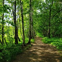 Летние мотивы :: Андрей Лукьянов