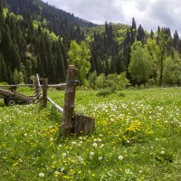 У домика егеря :: LudMila У домика егеря :: LudMila