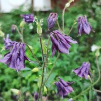 ,,, :: Сергей Тимоновский ,,, :: Сергей Тимоновский