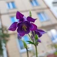 ,,, :: Сергей Тимоновский