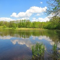 Майским днём :: Андрей Снегерёв