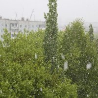 Снег в мае :: Владимир Кириченко