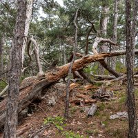 Вот и все... :: Юрий Яловенко Вот и все... :: Юрий Яловенко