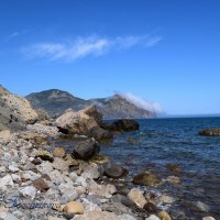 Природа Крыма :: Amazing Cosmea Природа Крыма :: Amazing Cosmea