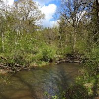 весна :: ИННА ПОРОХОВА весна :: ИННА ПОРОХОВА