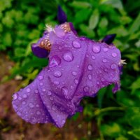 И о погоде... :: Галина Бобкина И о погоде... :: Галина Бобкина