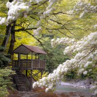 хижина :: Артем Тимофеев хижина :: Артем Тимофеев