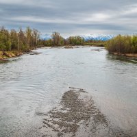 ... :: Жора Житников