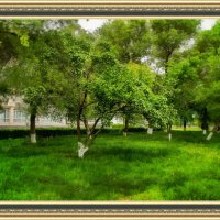 Боярышник :: Анатолий Чикчирный