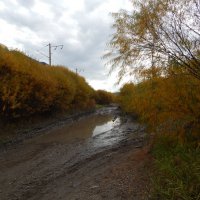 ул Аянская :: Екатерина Панова