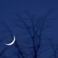 «Светит месяц, светит ясный...» :: Михаил Андреев