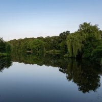 Дело к вечеру... :: Николай Гирш