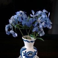 *** :: Валентина Береснева