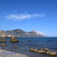 Природа Крыма :: Amazing Cosmea