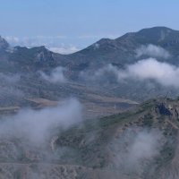 Природа Крыма :: Amazing Cosmea