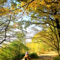 Грибник :: Валерий 