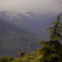 После дождя :: liudmila drake После дождя :: liudmila drake