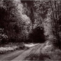 Дорога к бабушке Красной Шапочки ( инфракрасная фотография ) :: Валентин Котляров Дорога к бабушке Красной Шапочки ( инфракрасная фотография ) :: Валентин Котляров