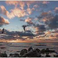 Закат :: Виктор 