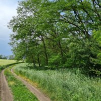 Скоро лето! :: Валерий Ткаченко