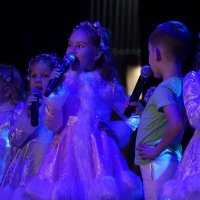 белые снежинки :: Дмитрий Потапов