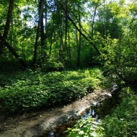 Лето совсем рядом :: Андрей Лукьянов