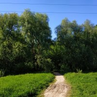 Лето совсем рядом :: Андрей Лукьянов Лето совсем рядом :: Андрей Лукьянов