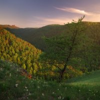 * :: Александр Иванов