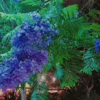 13  ОПЕН (81) :: OPEN WAYS ALL